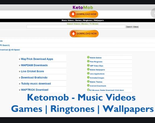 Ketomob App - Music Videos | Games | Ringtones | Free Download