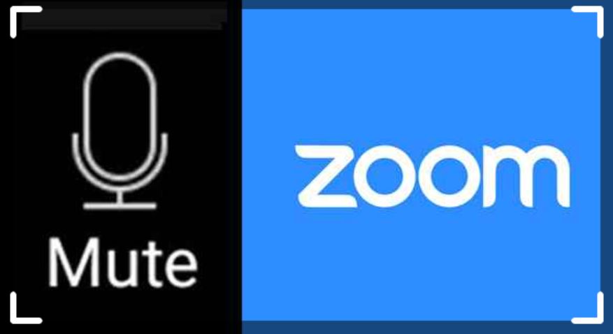 How to Mute on Zoom