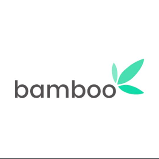 IS BAMBOO INVESTMENT LEGIT OR A SCAM? TechSog