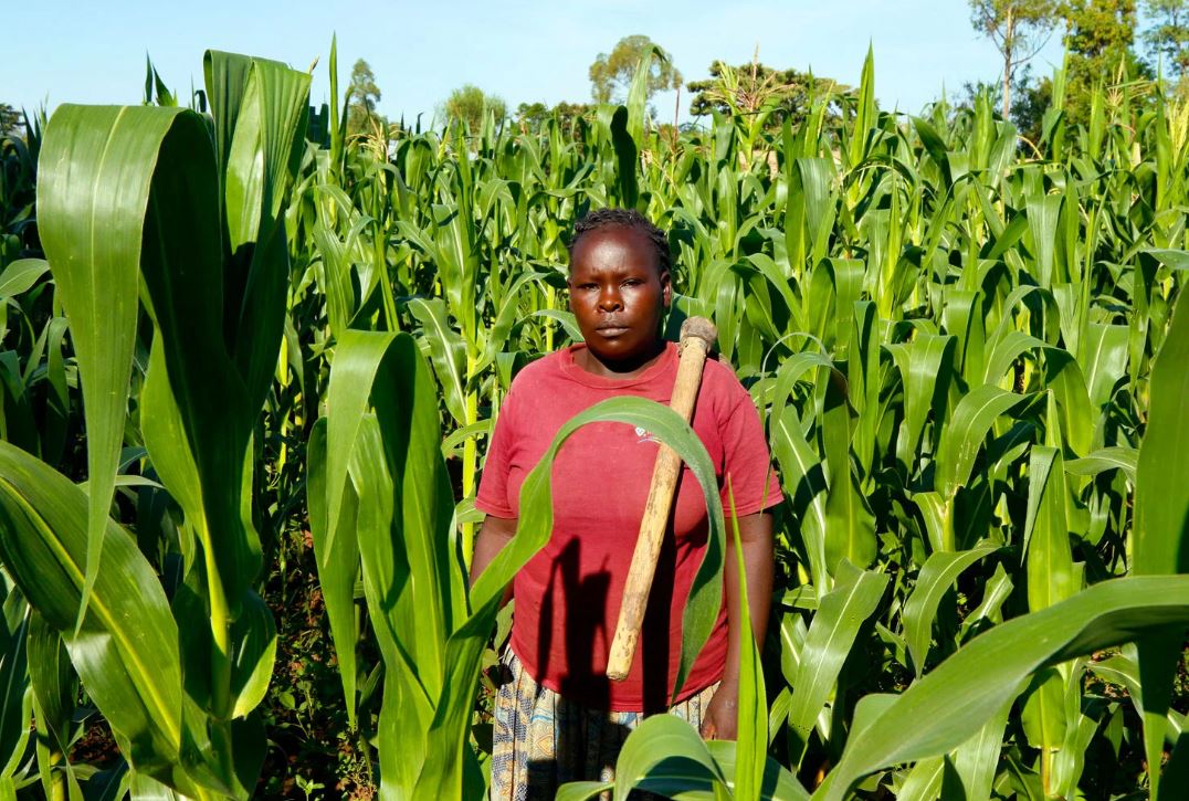 Free Visa and Air Ticket Farm Jobs in Canada