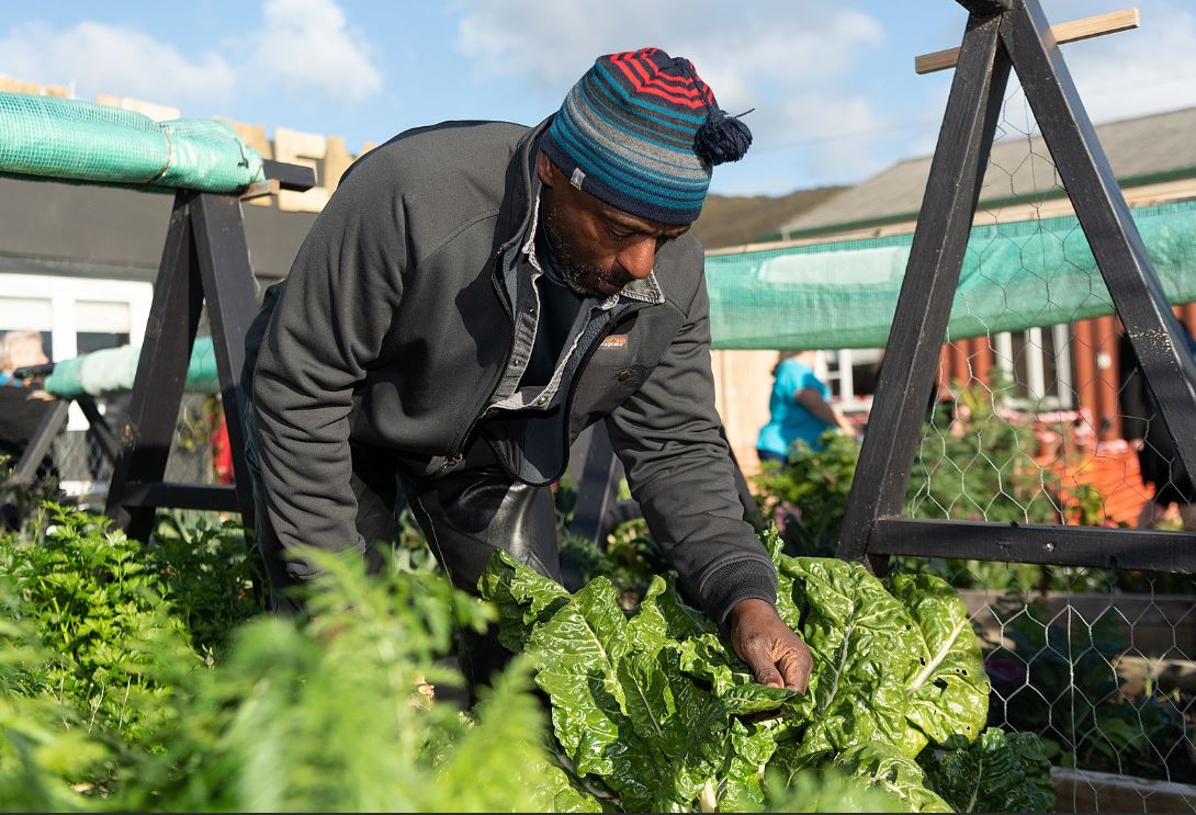 Farm Jobs Canada With Free Visa Sponsorship 2022